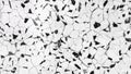 pattern terrazzo floorÃÂ black and white color